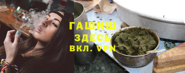 крисы Алзамай