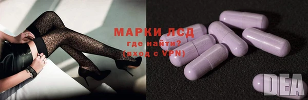 крисы Алзамай
