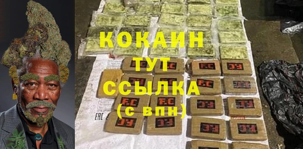 спайс Алексин