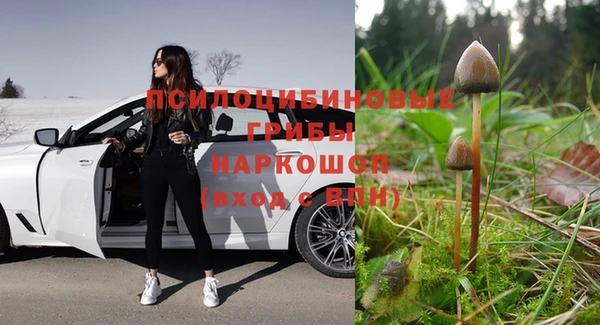 каннабис Алексеевка