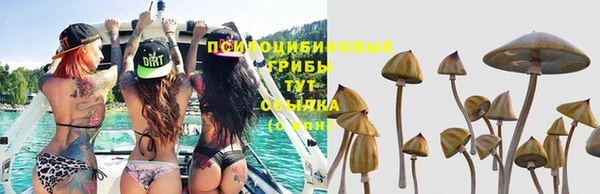 каннабис Алексеевка