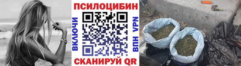 Галлюциногенные грибы GOLDEN TEACHER  дарк нет состав  Аргун 
